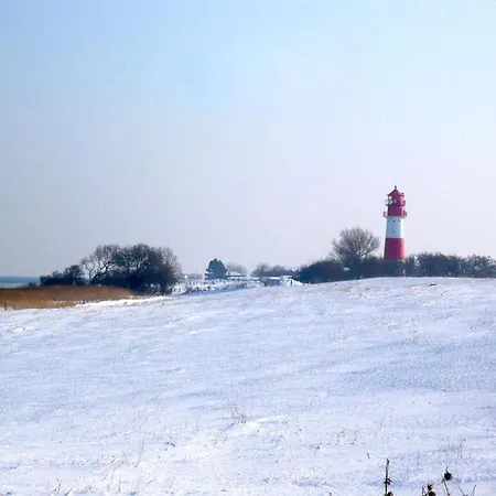 House Saga - Huus Asgard *