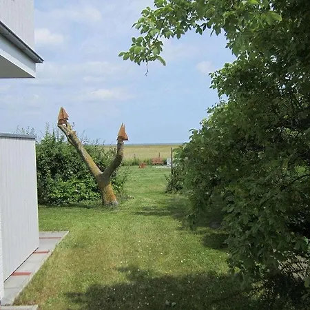 House Saga - Huus Asgard